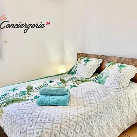 Apartment Beaux Arts T3 Duplex, Renove Lumineux + Garage Montpellier
